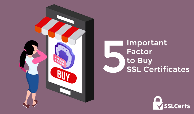 5 Important Factors to Buy SSL Certificates 4.8 (12)