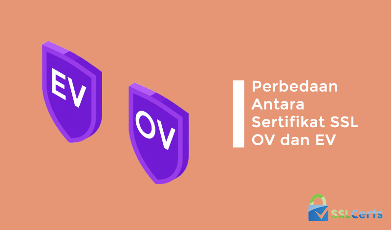 Memilih Sertifikat OV atau EV: Ketahui Perbedaannya