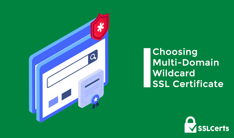 Choosing Multi-Domain Wildcard: Why You Need It